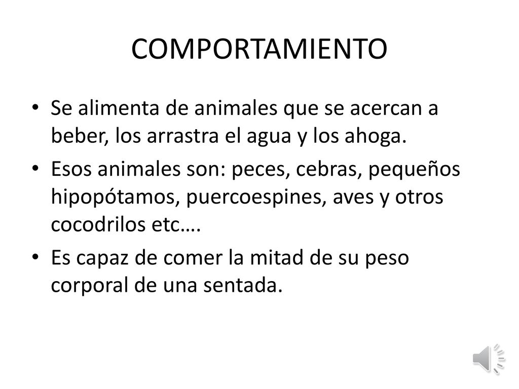 COMPORTAMIENTO Se alimenta de animales que se acercan a beber, los arrastra el agua y los ahoga.