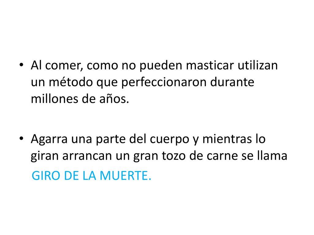 Al comer, como no pueden masticar utilizan un método que perfeccionaron durante millones de años.