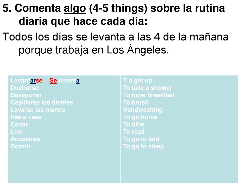 5. Comenta algo (4-5 things) sobre la rutina diaria que hace cada día: