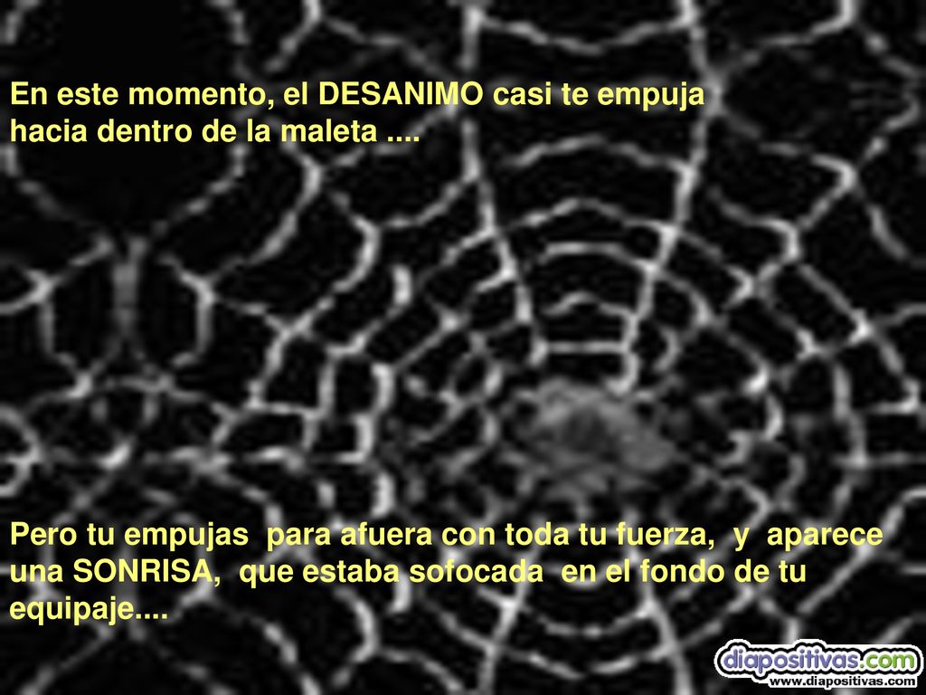 En este momento, el DESANIMO casi te empuja hacia dentro de la maleta ....