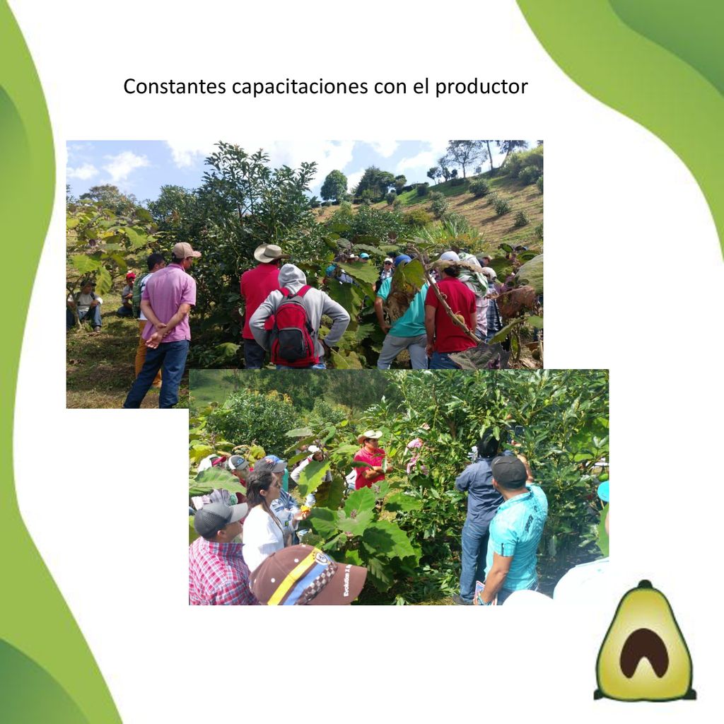 Constantes capacitaciones con el productor