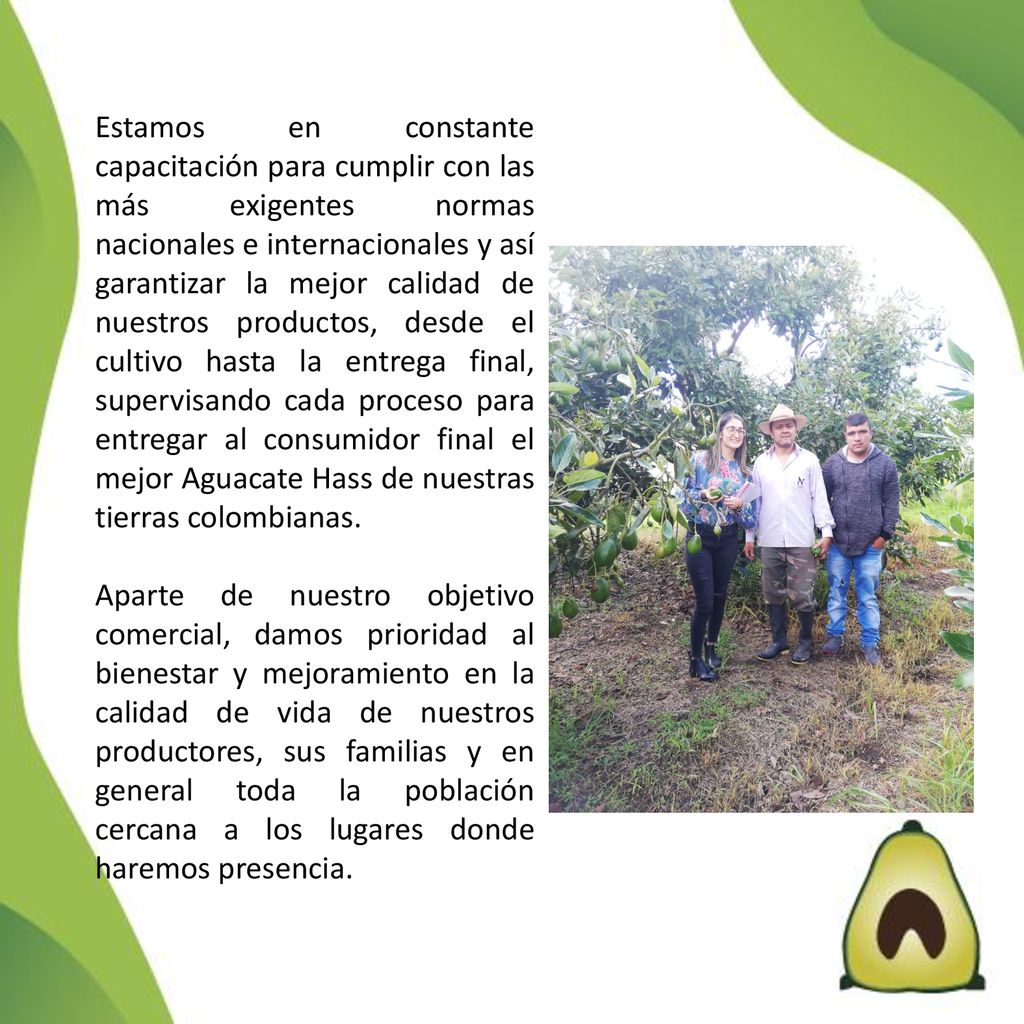 Estamos en constante capacitación para cumplir con las más exigentes normas nacionales e internacionales y así garantizar la mejor calidad de nuestros productos, desde el cultivo hasta la entrega final, supervisando cada proceso para entregar al consumidor final el mejor Aguacate Hass de nuestras tierras colombianas.