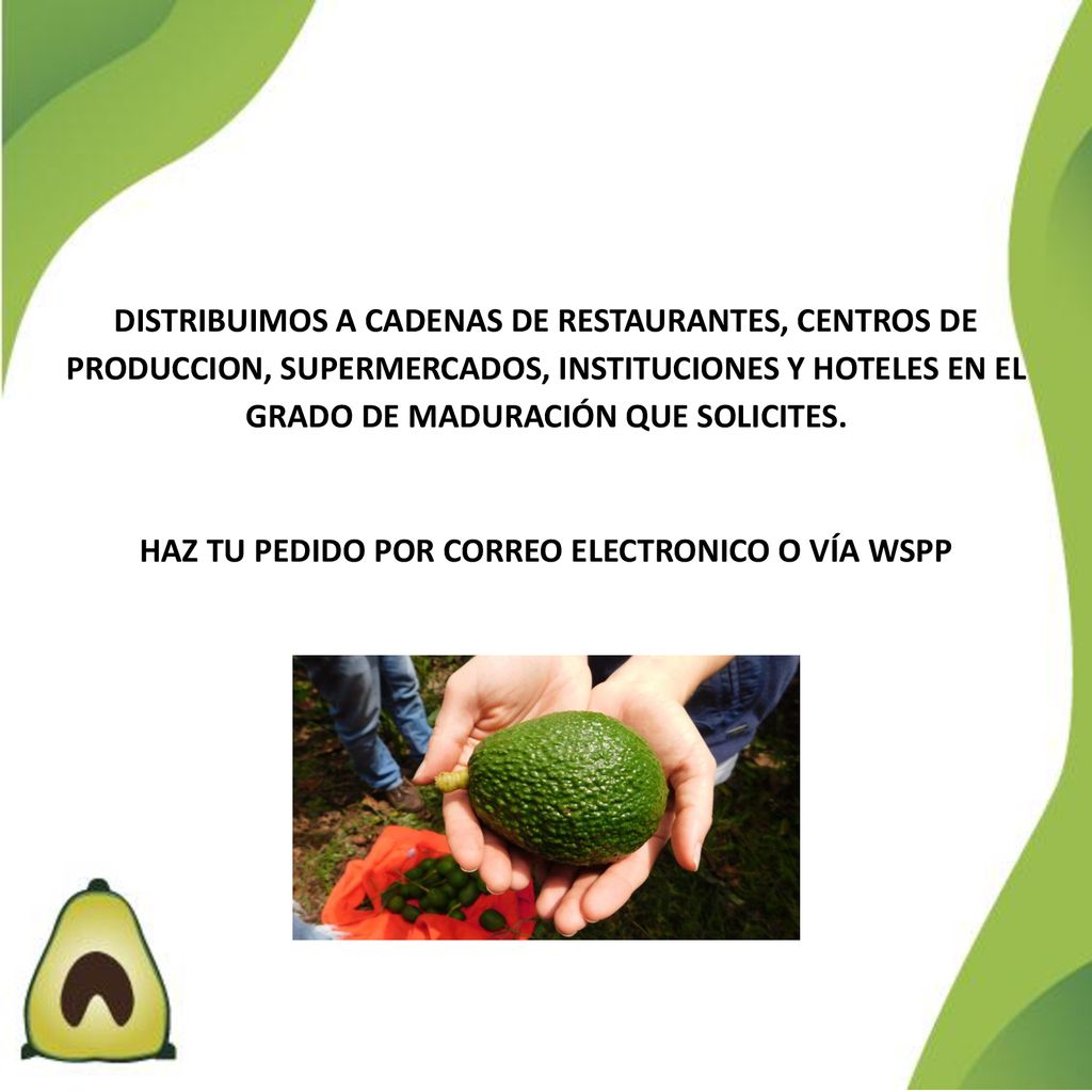 HAZ TU PEDIDO POR CORREO ELECTRONICO O VÍA WSPP
