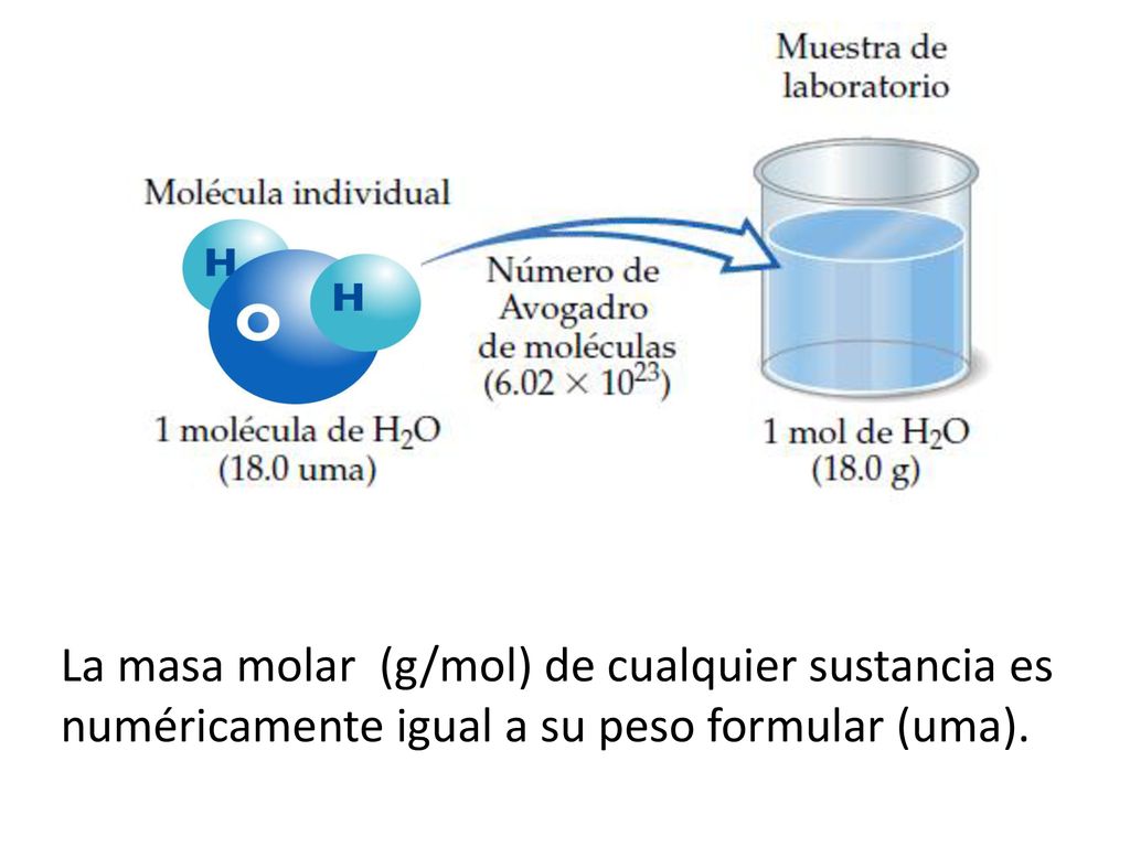 La masa molar (g/mol) de cualquier sustancia es numéricamente igual a su peso formular (uma).