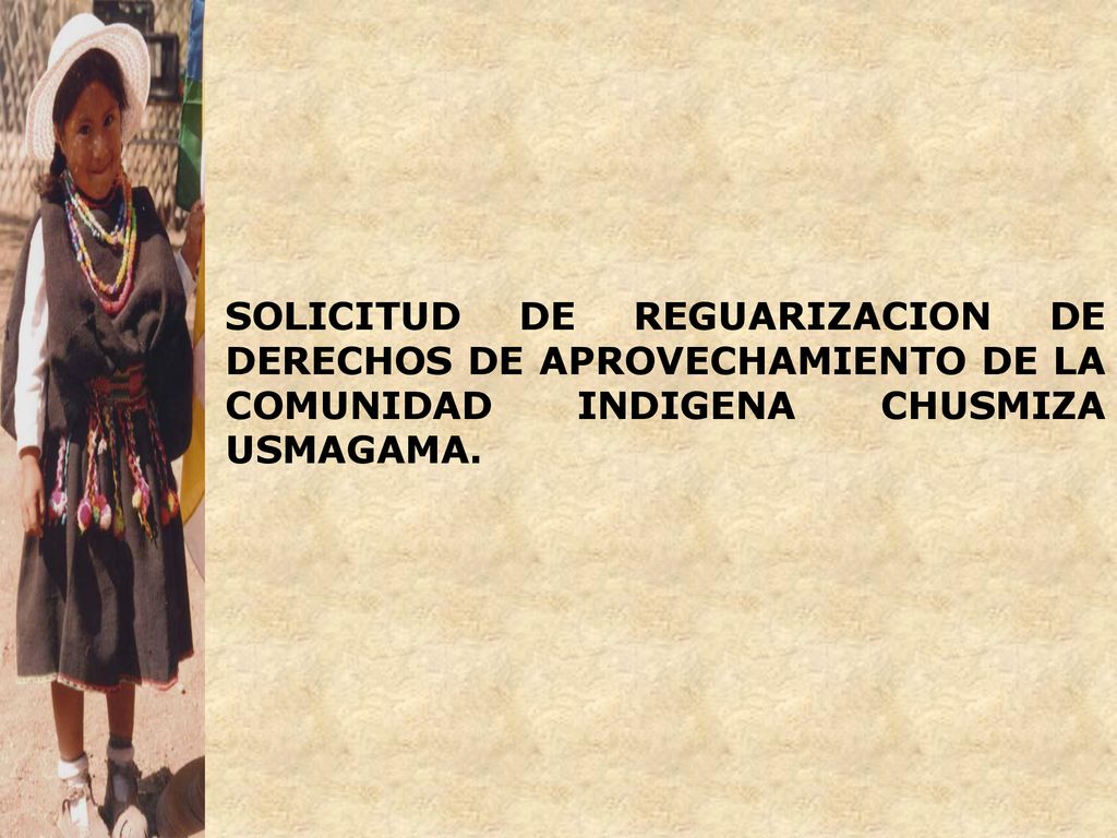 SOLICITUD DE REGUARIZACION DE DERECHOS DE APROVECHAMIENTO DE LA COMUNIDAD INDIGENA CHUSMIZA USMAGAMA.