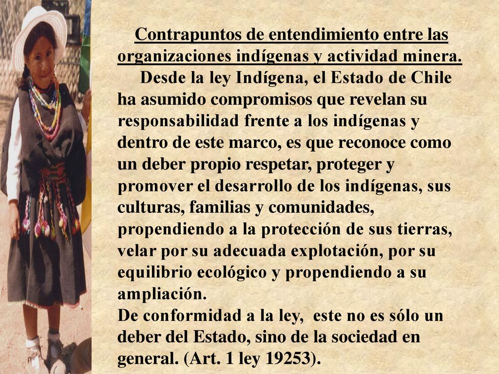 Contrapuntos de entendimiento entre las organizaciones indígenas y actividad minera.