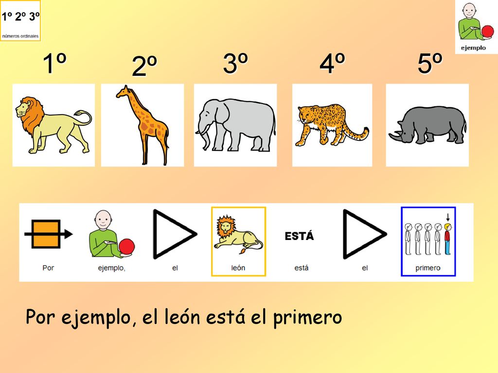 1º 2º 3º 4º 5º Por ejemplo, el león está el primero