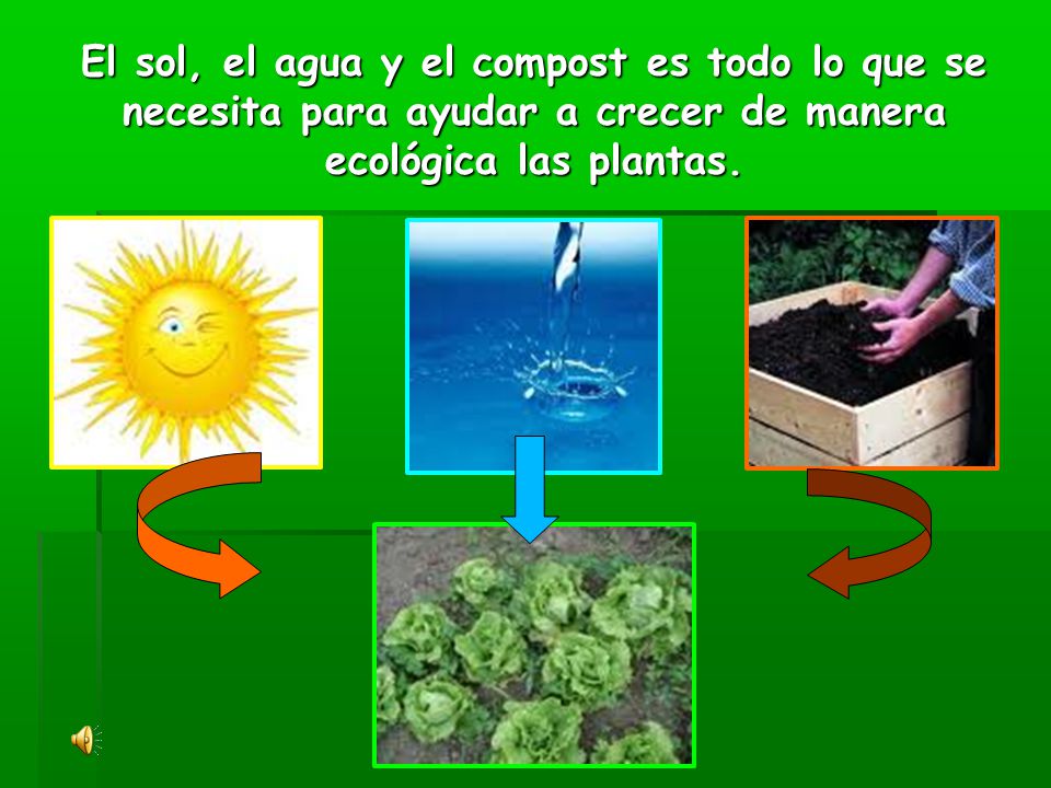 El sol, el agua y el compost es todo lo que se necesita para ayudar a crecer de manera ecológica las plantas.