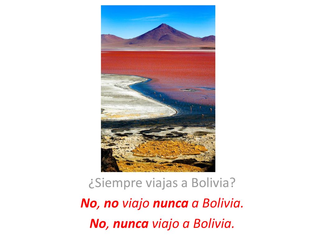 ¿Siempre viajas a Bolivia No, no viajo nunca a Bolivia.