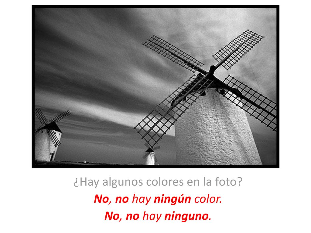 ¿Hay algunos colores en la foto