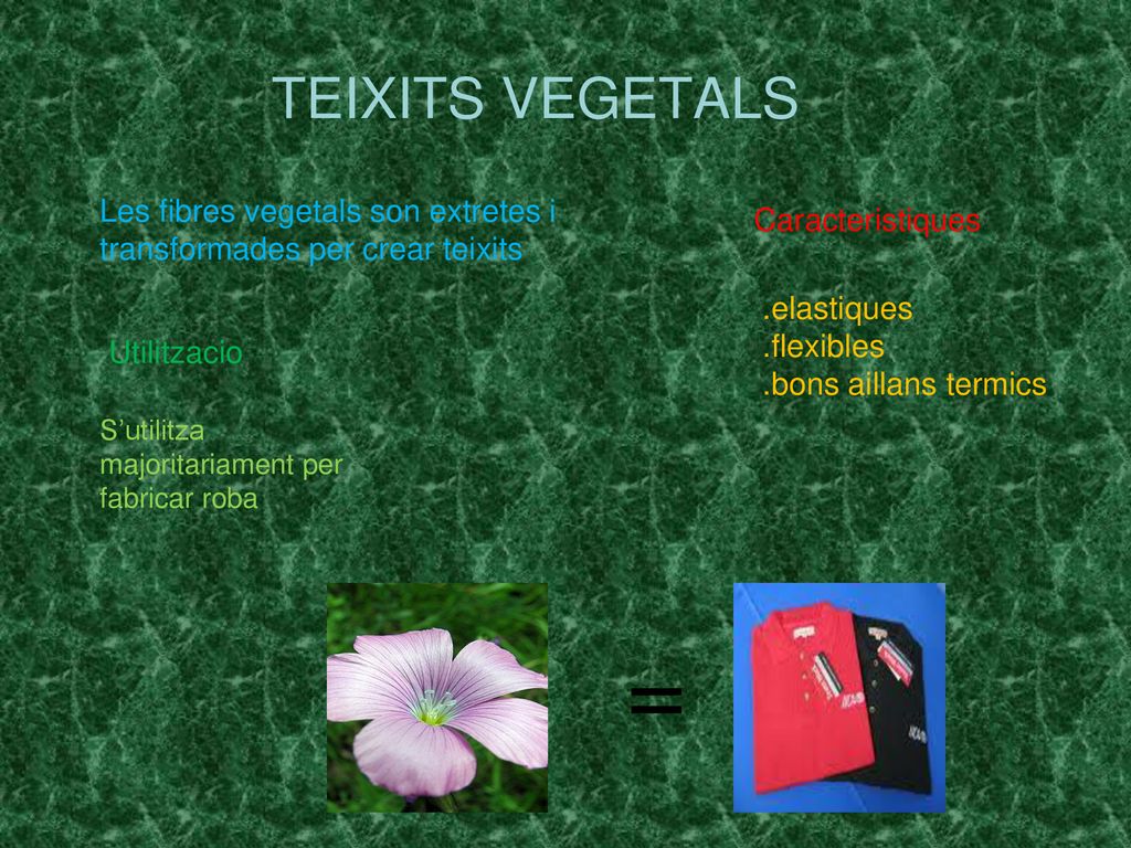 TEIXITS VEGETALS Les fibres vegetals son extretes i transformades per crear teixits. Caracteristiques.