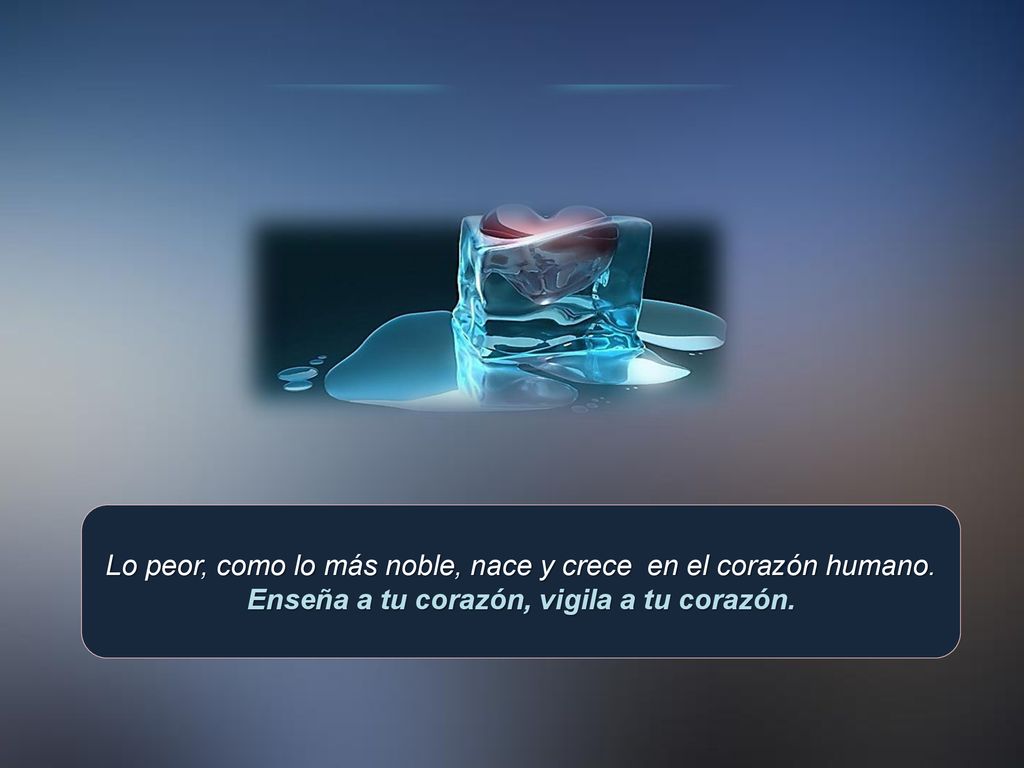 Enseña a tu corazón, vigila a tu corazón.