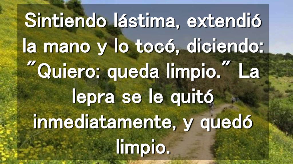 Sintiendo lástima, extendió la mano y lo tocó, diciendo: Quiero: queda limpio. La lepra se le quitó inmediatamente, y quedó limpio.