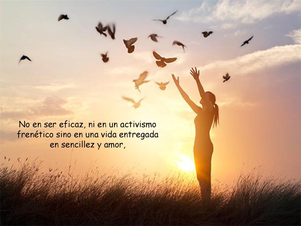 No en ser eficaz, ni en un activismo frenético sino en una vida entregada en sencillez y amor,