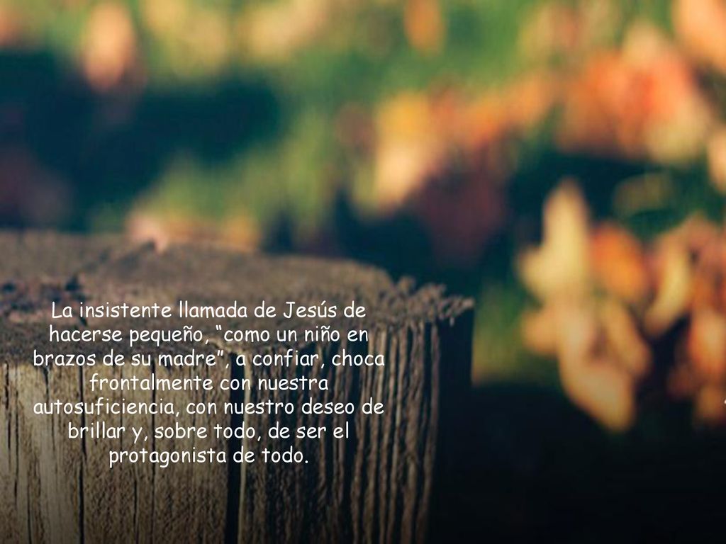 La insistente llamada de Jesús de hacerse pequeño, como un niño en brazos de su madre , a confiar, choca frontalmente con nuestra autosuficiencia, con nuestro deseo de brillar y, sobre todo, de ser el protagonista de todo.