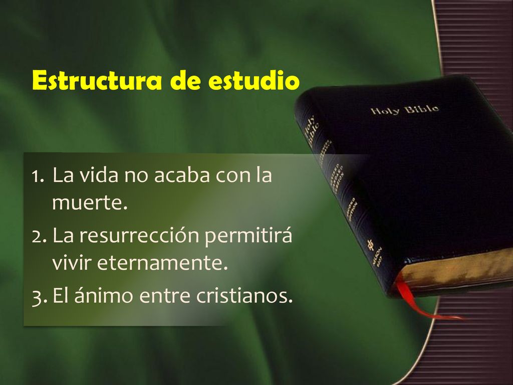 Estructura de estudio La vida no acaba con la muerte.