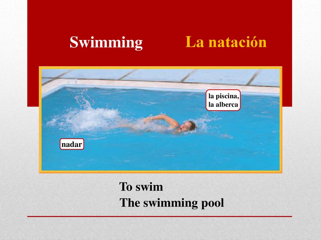 Swimming La natación To swim The swimming pool nadar la piscina,