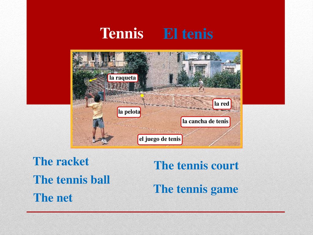Tennis El tenis The racket The tennis court The tennis ball