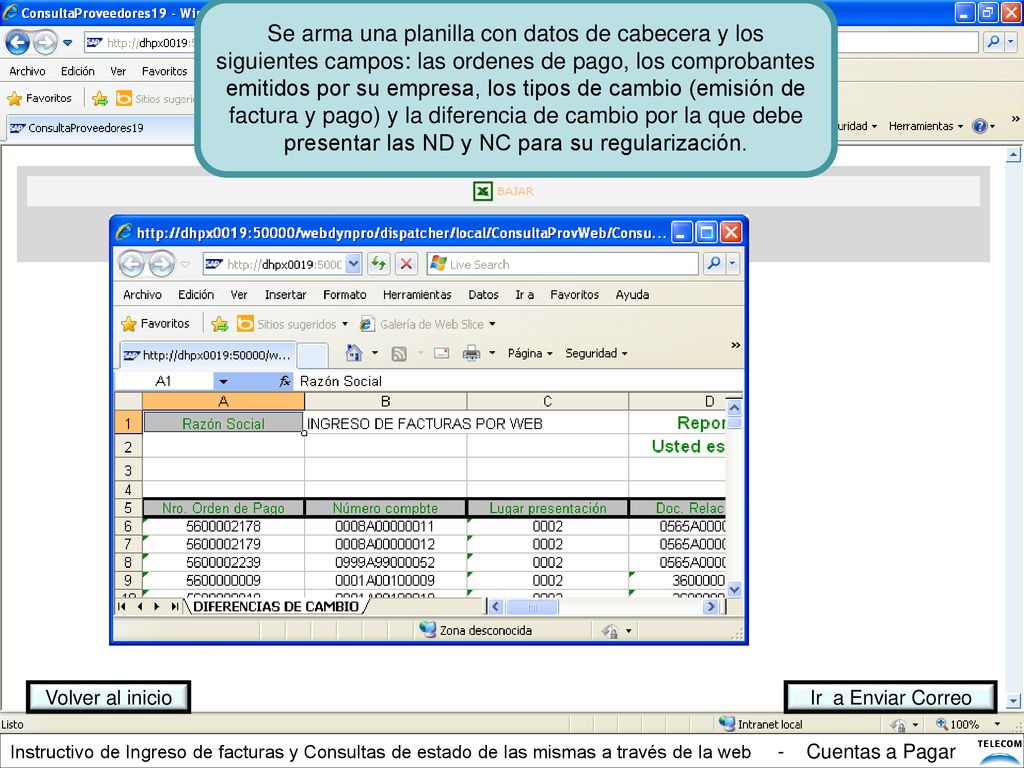 Se arma una planilla con datos de cabecera y los siguientes campos: las ordenes de pago, los comprobantes emitidos por su empresa, los tipos de cambio (emisión de factura y pago) y la diferencia de cambio por la que debe presentar las ND y NC para su regularización.