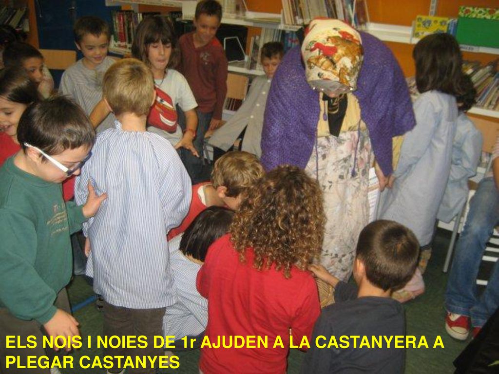 ELS NOIS I NOIES DE 1r AJUDEN A LA CASTANYERA A PLEGAR CASTANYES