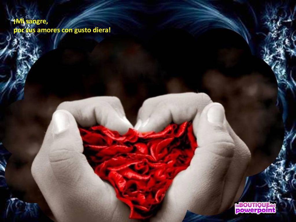 ¡Mi sangre, por sus amores con gusto diera!
