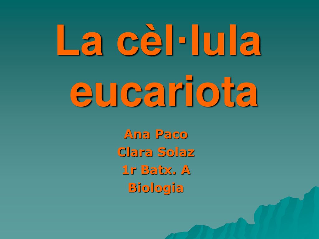 La cèl·lula eucariota Ana Paco Clara Solaz 1r Batx. A Biologia