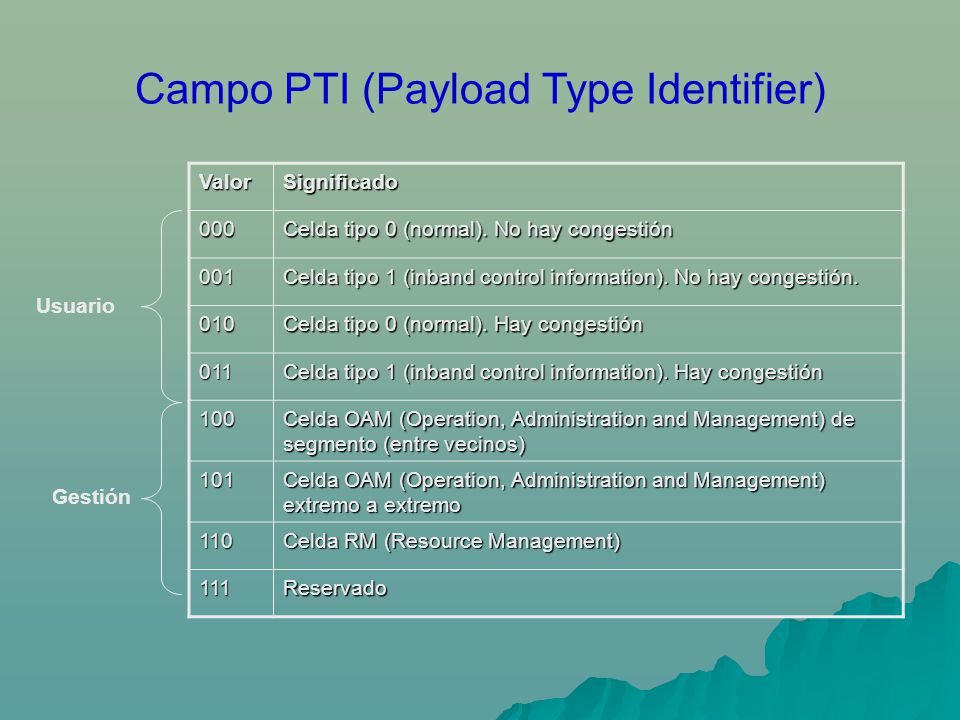 Campo PTI (Payload Type Identifier)
