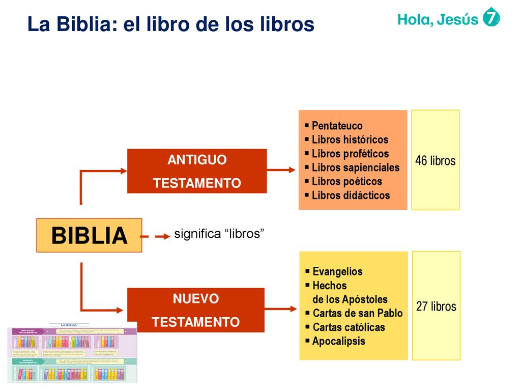 BIBLIA La Biblia: el libro de los libros 46 libros ANTIGUO TESTAMENTO