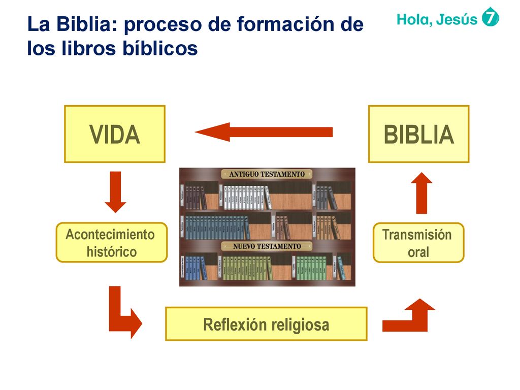VIDA BIBLIA La Biblia: proceso de formación de los libros bíblicos