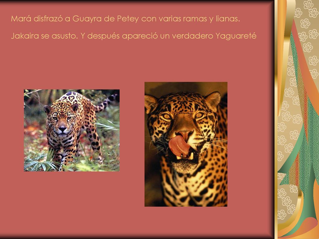 Mará disfrazó a Guayra de Petey con varias ramas y lianas