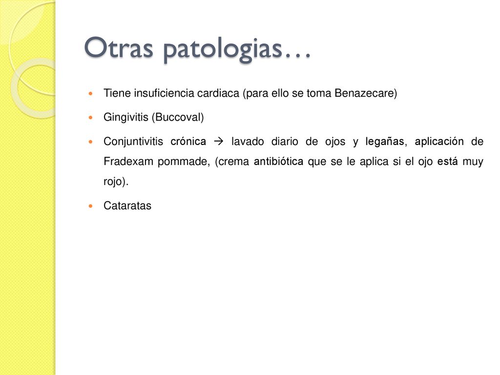 Otras patologias… Tiene insuficiencia cardiaca (para ello se toma Benazecare) Gingivitis (Buccoval)