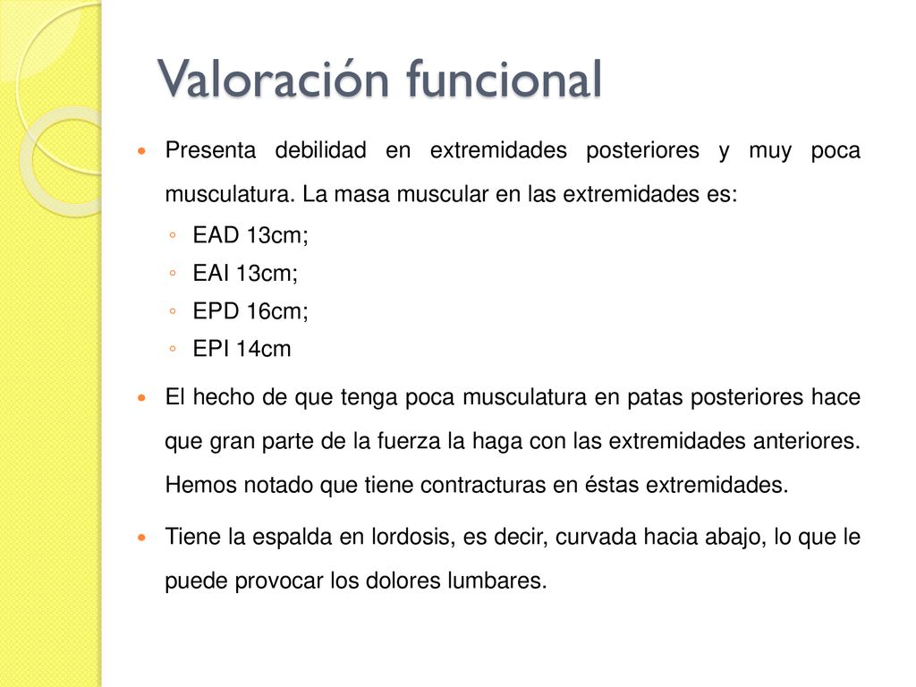 Valoración funcional Presenta debilidad en extremidades posteriores y muy poca musculatura. La masa muscular en las extremidades es: