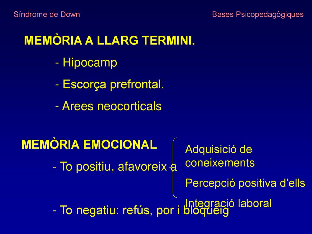 MEMÒRIA A LLARG TERMINI. - Hipocamp - Escorça prefrontal.