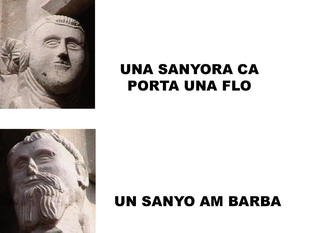 UNA SANYORA CA PORTA UNA FLO UN SANYO AM BARBA
