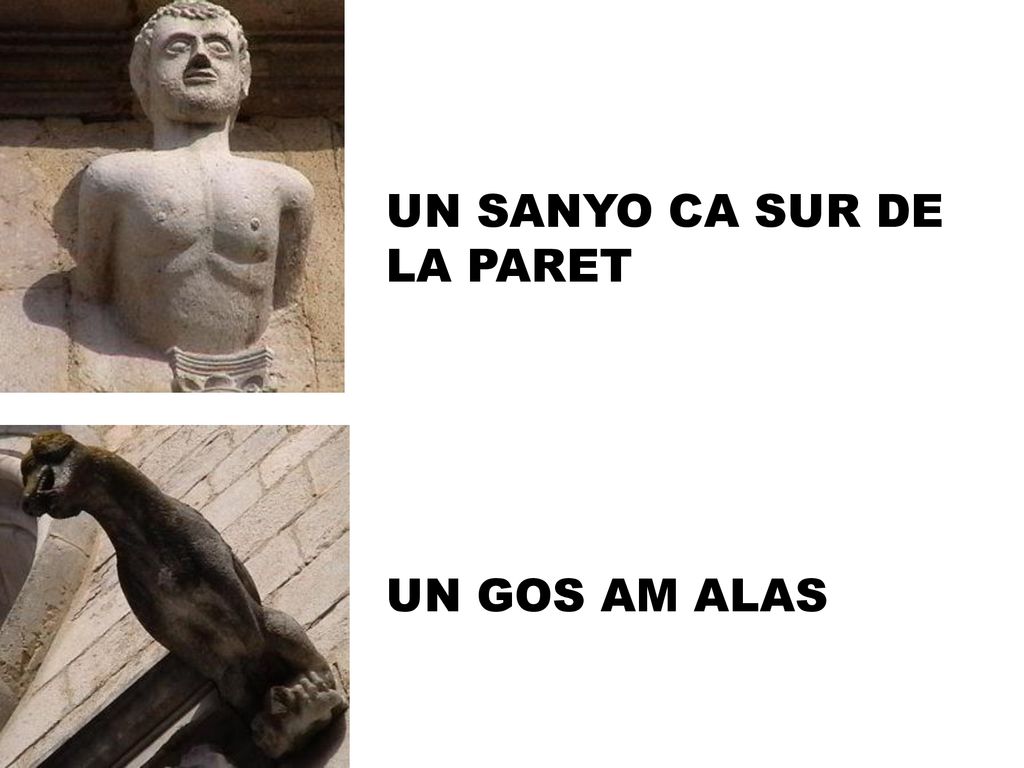 UN SANYO CA SUR DE LA PARET UN GOS AM ALAS