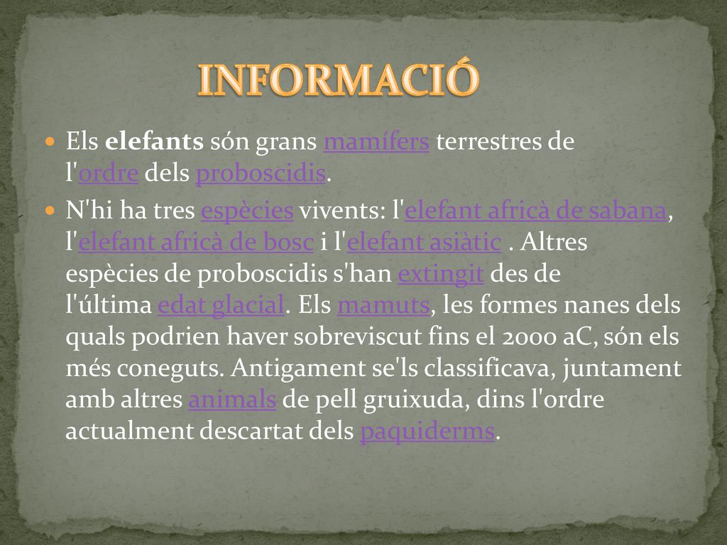 INFORMACIÓ Els elefants són grans mamífers terrestres de l ordre dels proboscidis.