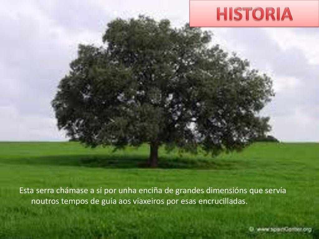 HISTORIA Esta serra chámase a sí por unha enciña de grandes dimensións que servía noutros tempos de guía aos viaxeiros por esas encrucilladas.