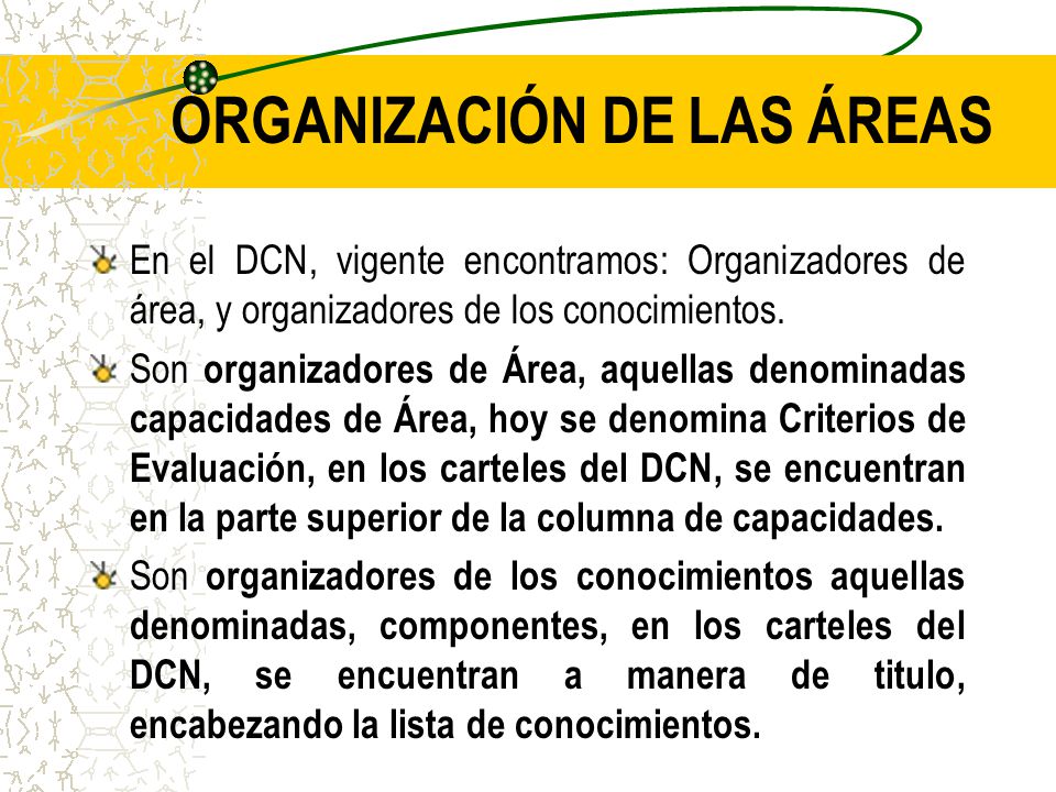 ORGANIZACIÓN DE LAS ÁREAS