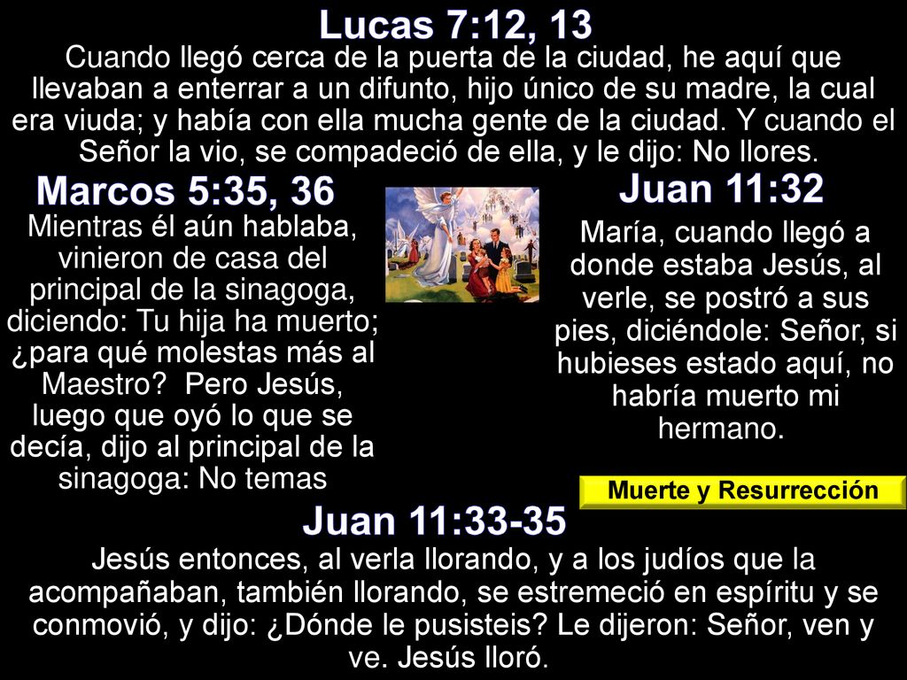 Lucas 7:12, 13 Marcos 5:35, 36 Juan 11:32 Juan 11:33-35