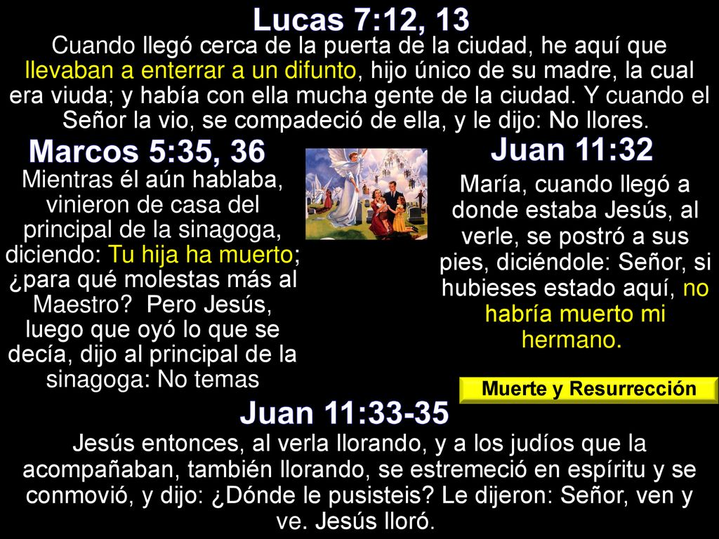Lucas 7:12, 13 Marcos 5:35, 36 Juan 11:32 Juan 11:33-35