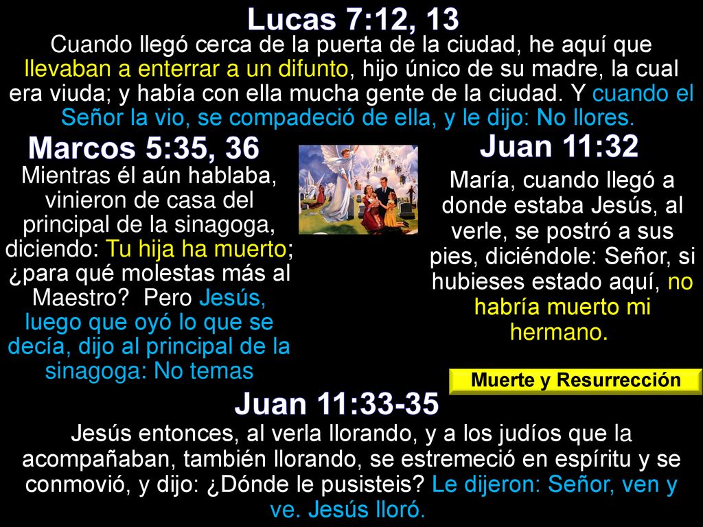 Lucas 7:12, 13 Marcos 5:35, 36 Juan 11:32 Juan 11:33-35