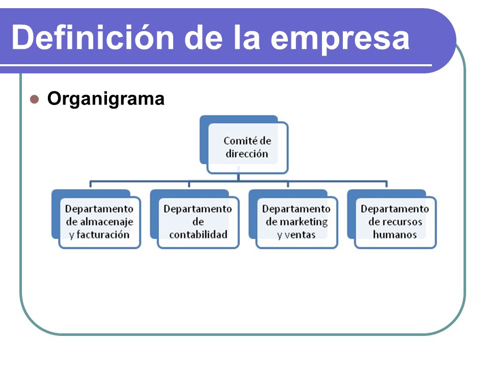Definición de la empresa