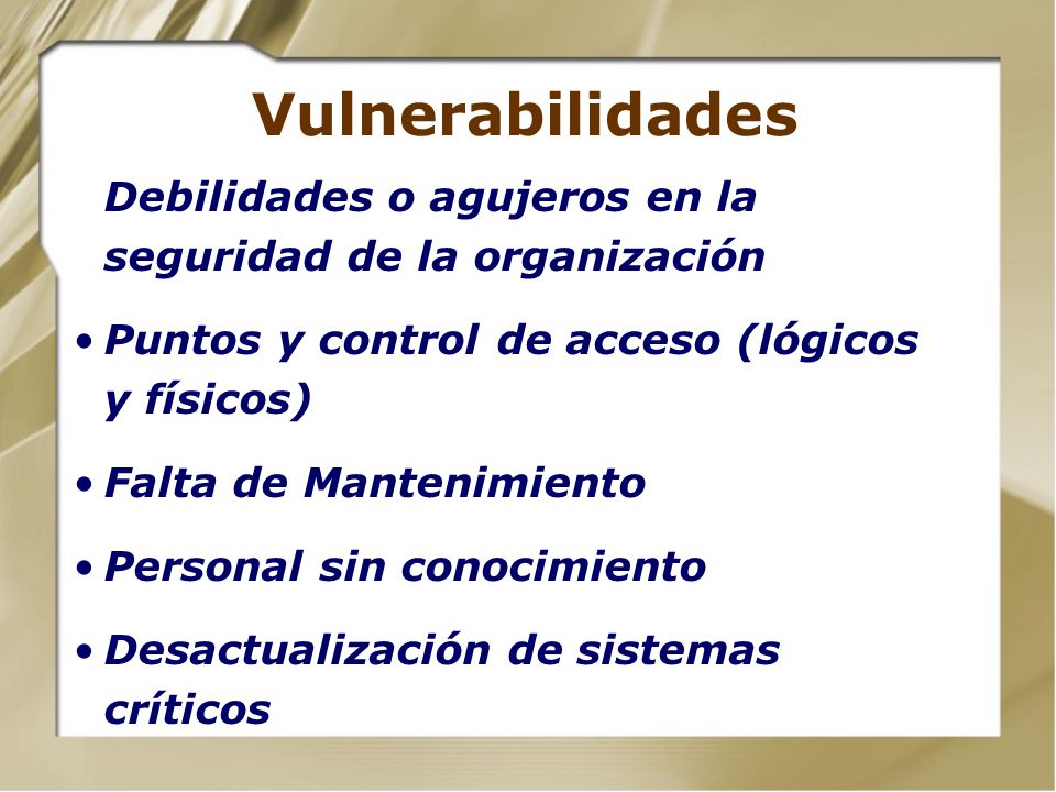 Vulnerabilidades Debilidades o agujeros en la seguridad de la organización. Puntos y control de acceso (lógicos y físicos)