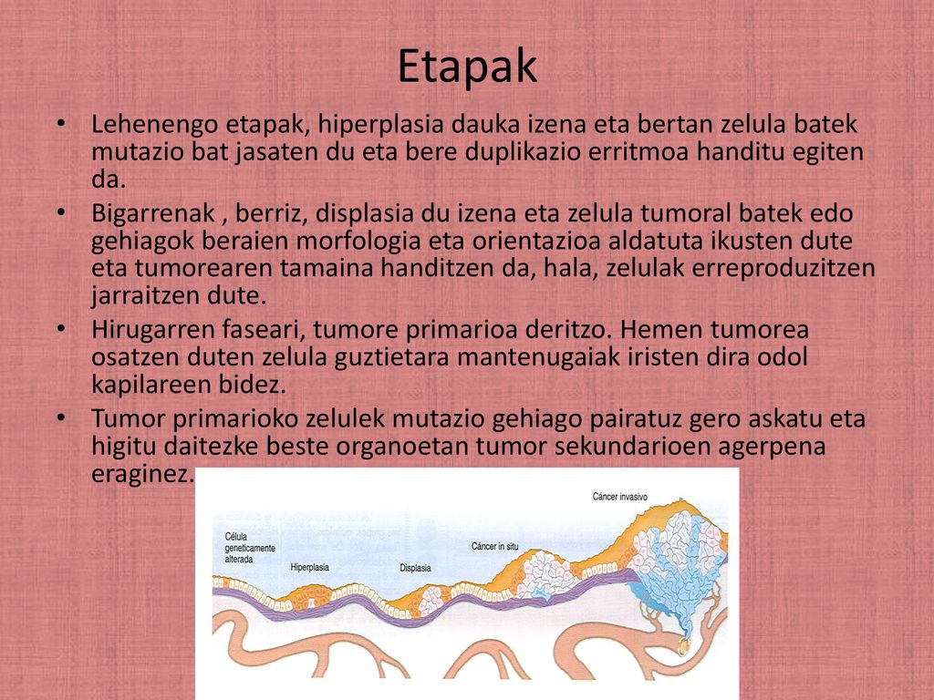 Etapak Lehenengo etapak, hiperplasia dauka izena eta bertan zelula batek mutazio bat jasaten du eta bere duplikazio erritmoa handitu egiten da.