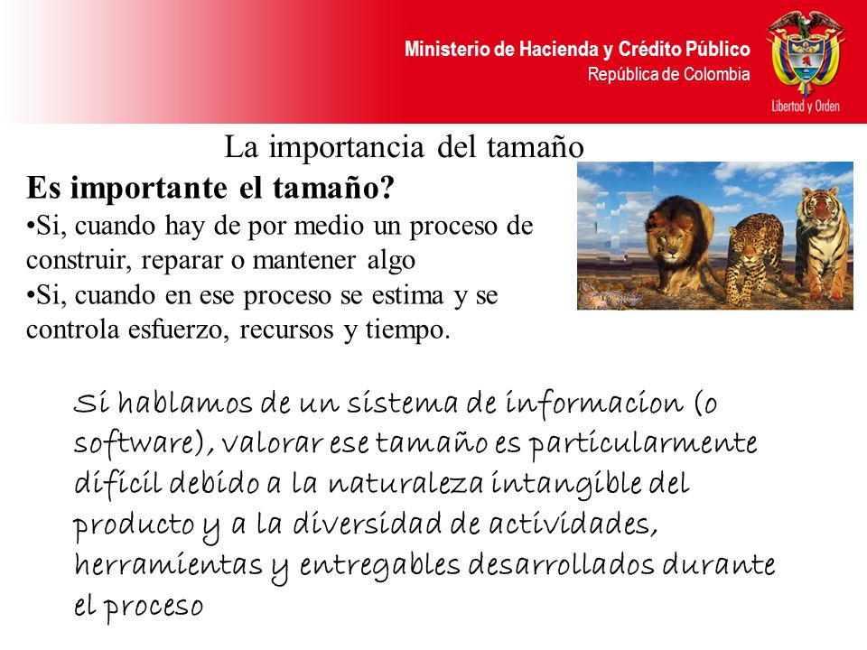 La importancia del tamaño Es importante el tamaño