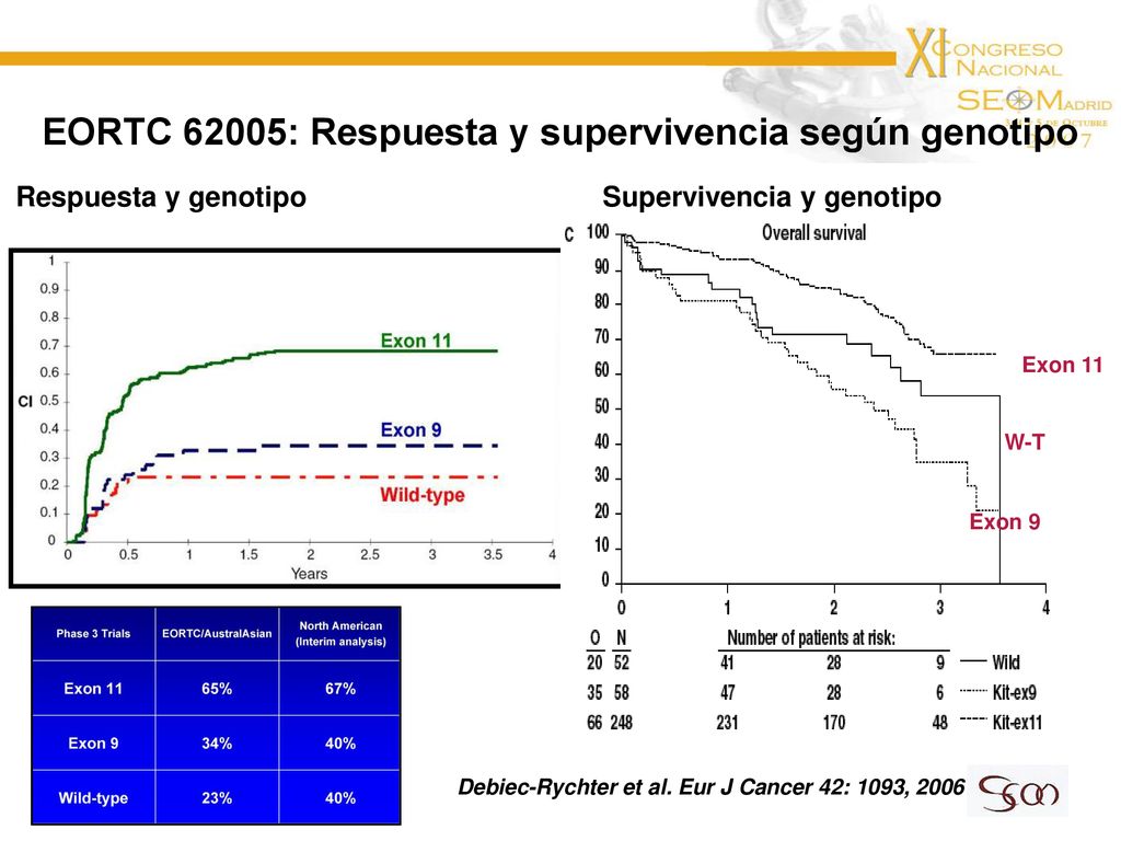 EORTC 62005: Respuesta y supervivencia según genotipo