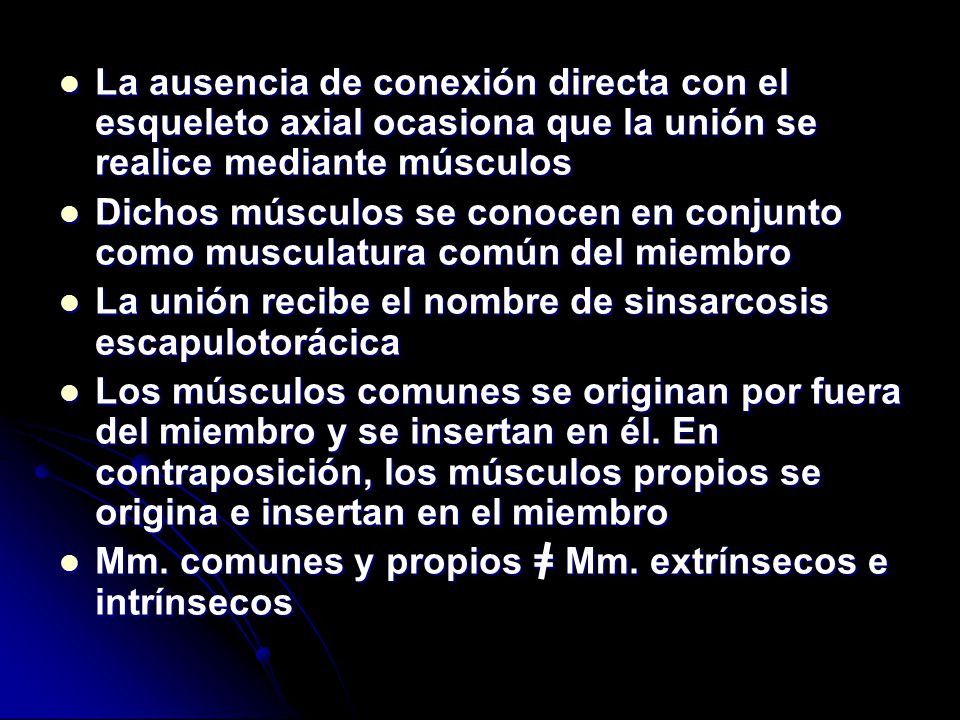 La ausencia de conexión directa con el esqueleto axial ocasiona que la unión se realice mediante músculos