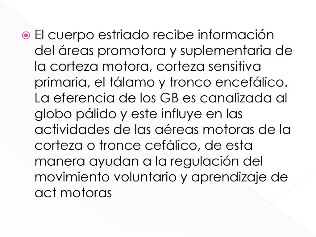 El cuerpo estriado recibe información del áreas promotora y suplementaria de la corteza motora, corteza sensitiva primaria, el tálamo y tronco encefálico.