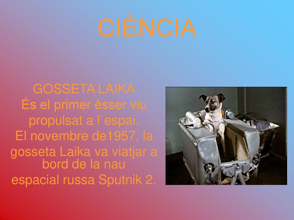 CIÈNCIA GOSSETA LAIKA És el primer ésser viu propulsat a l`espai.
