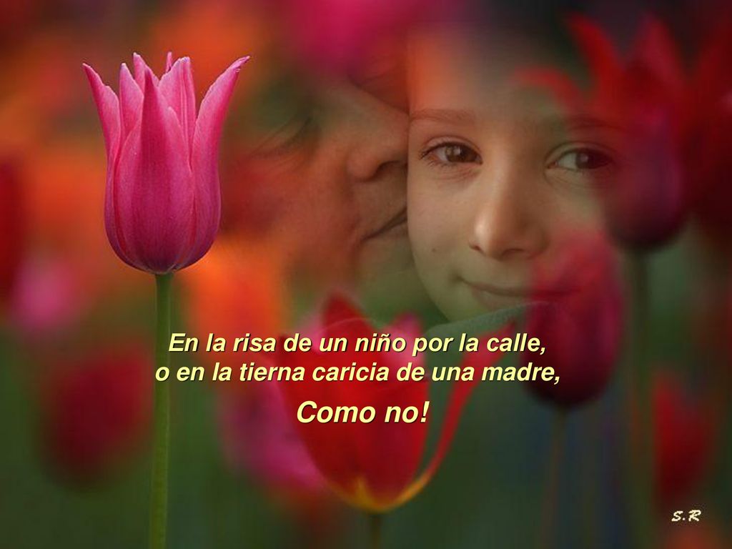 En la risa de un niño por la calle, o en la tierna caricia de una madre,